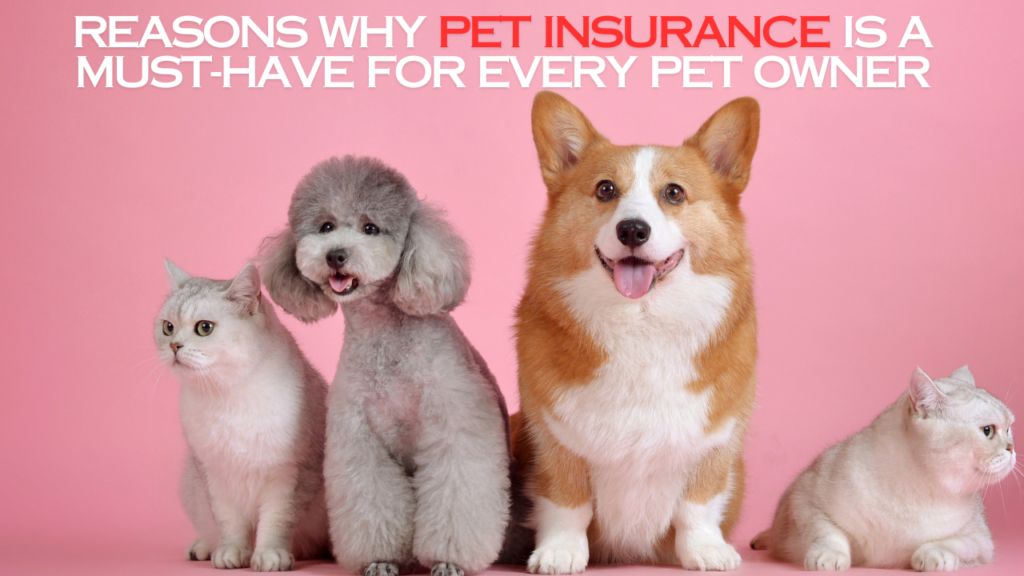 Causes Why Pet Insurance coverage Is a Should-Have for Each Pet Proprietor | Weblog