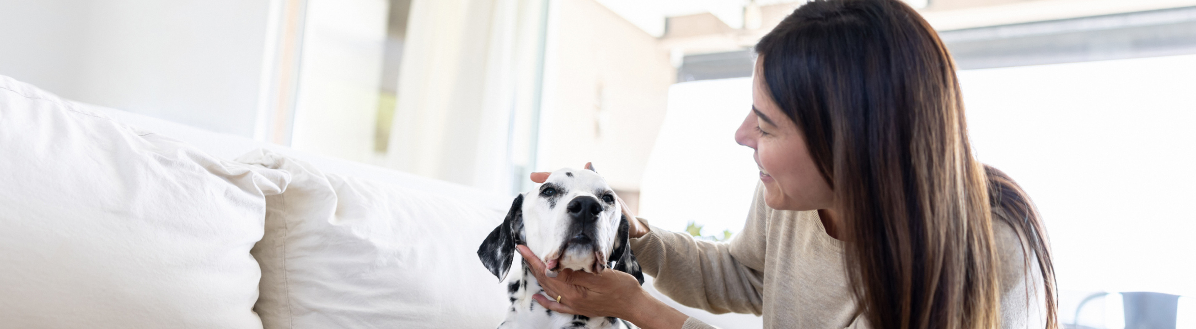 Massachusetts Pet insurance coverage